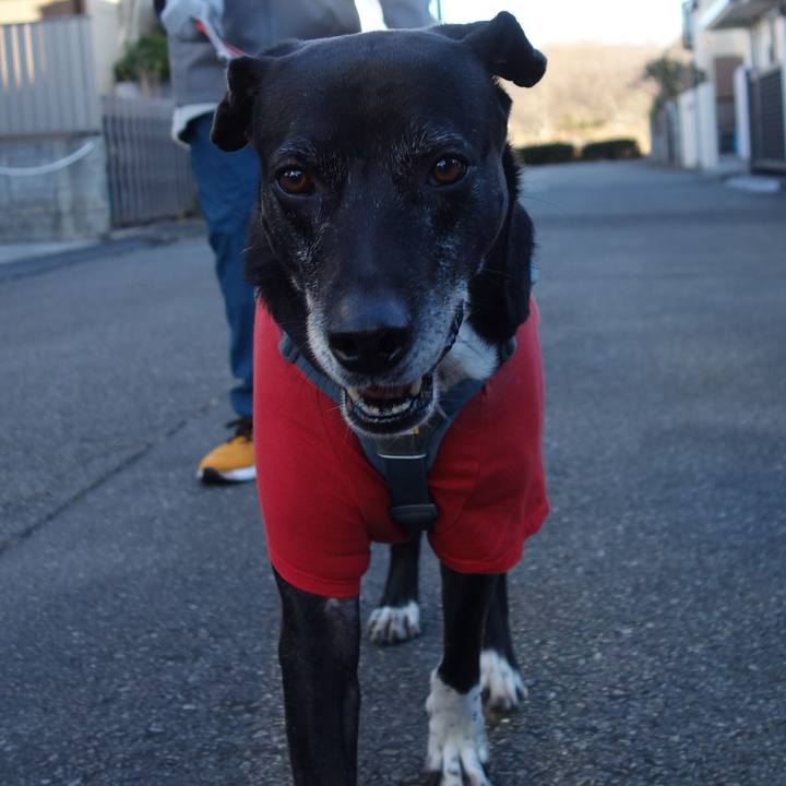 B740f963 b329 42a2 b28b 847bed0cd7dc 1735085668128