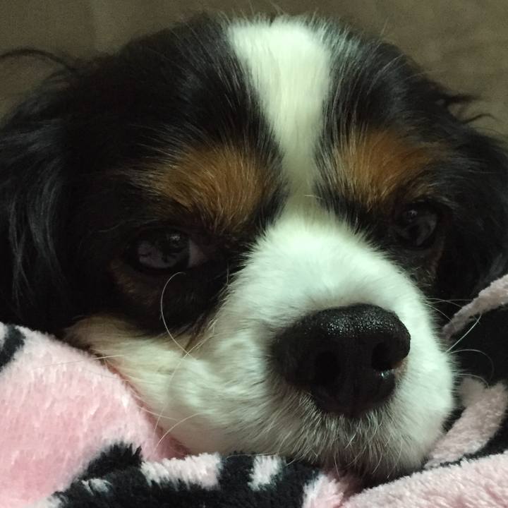 B7410084 712c 4b71 b15d 6ebff5a2e686 1512806397662