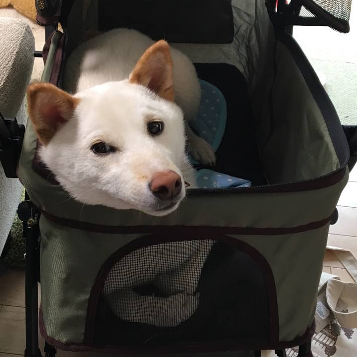 B7411b49 cadf 452d a51e f565c05fcb4c 1526349906379