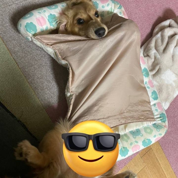 B7414da9 a9f2 4753 8694 e73943f8eb8b 1690036888326