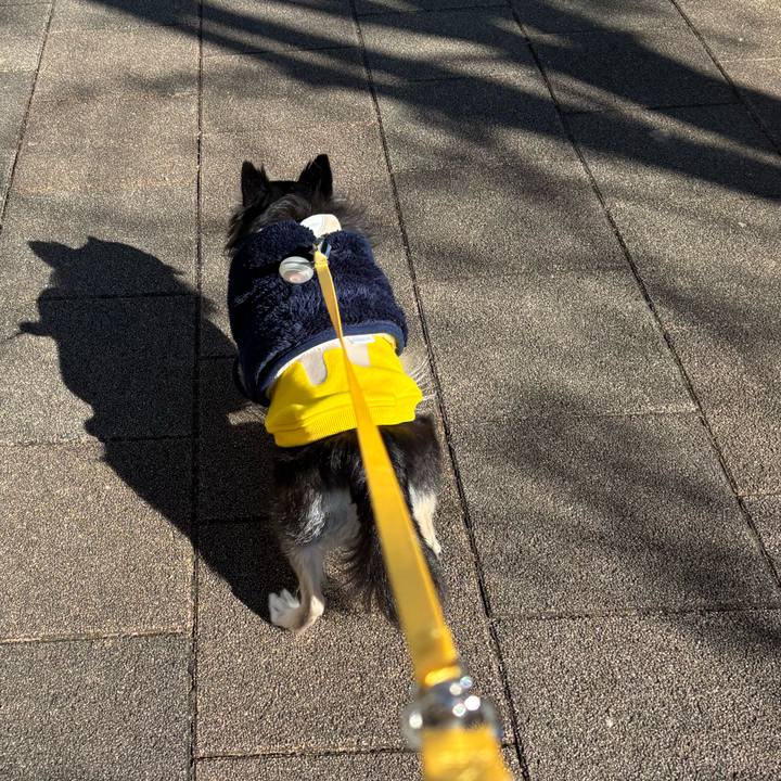 B7417927 6326 4f49 b61b e49693c01cdb 1736784121605