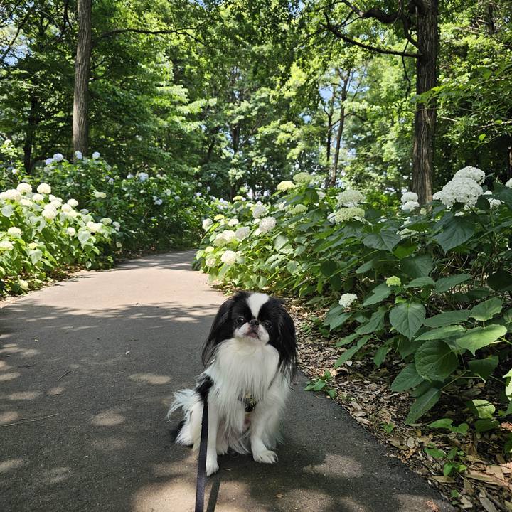 B74193c7 e461 4120 86bd 1fa983b81f54 1719030650323