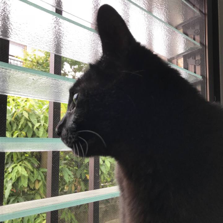 B741f77f 8e98 4355 bd34 b4eec665a418 1527470950334