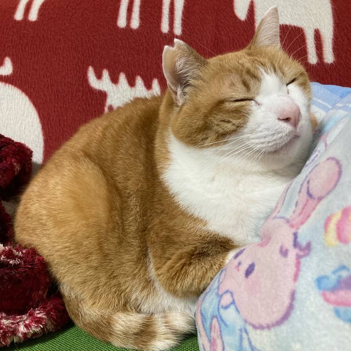 B7422af5 d67d 43b3 933b e566c988f225 1767452504462