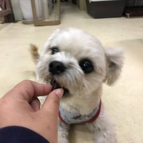 B7424844 3366 4426 b9d2 847ec5dea09c 1515757159932