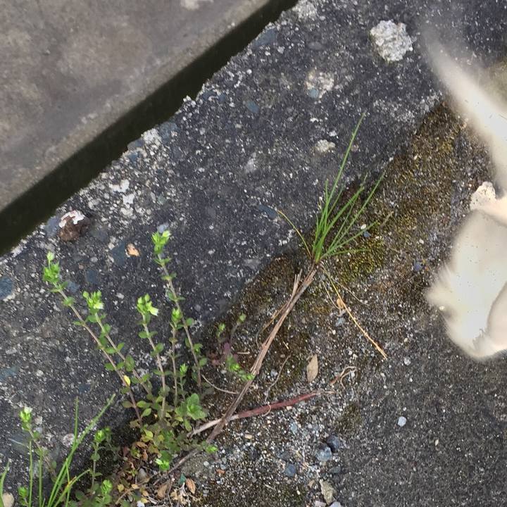 B7425442 2063 4c58 801b 0c3b4eb7034c 1554429878808