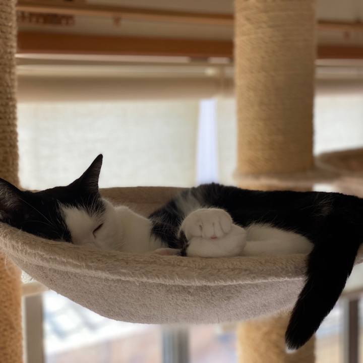 B742956b 0716 4084 a0e5 df1ca821add0 1598755853952