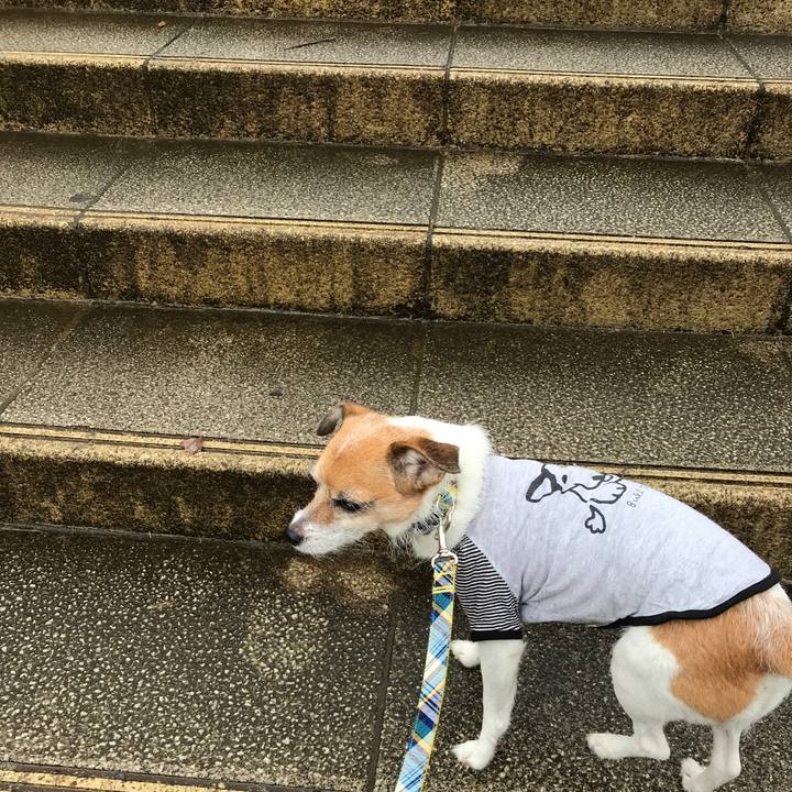 B74296f5 d216 43ed a1f7 bd27d8882ff3 1571452525601