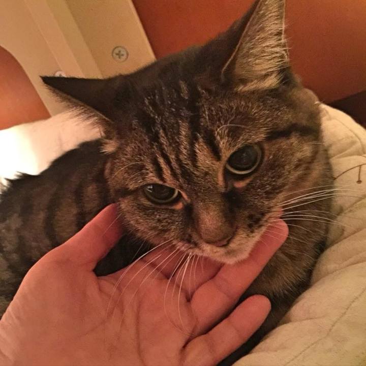 B742a05e ebdb 4671 8b51 a1845b69ccc0 1763469093463