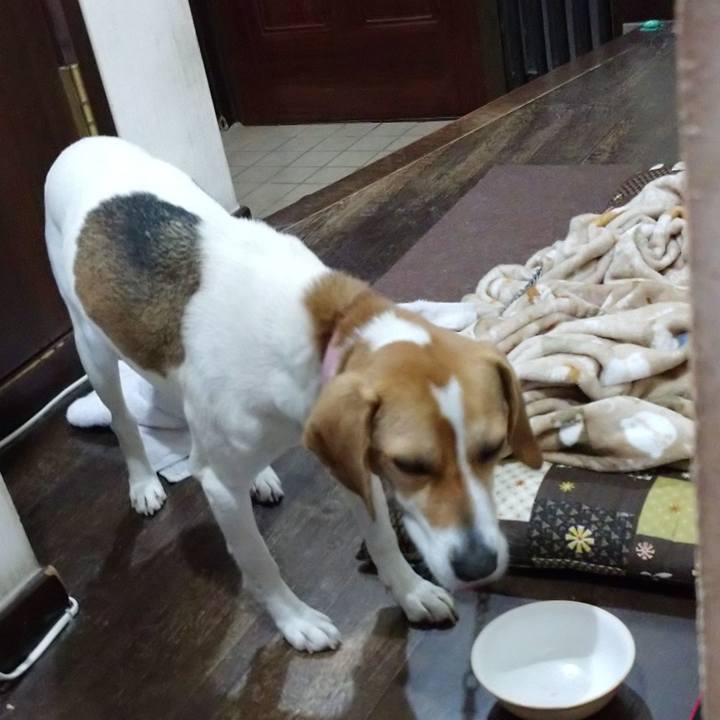 B742c335 dc42 49f2 b7df ec5b68b449d3 1582374115593