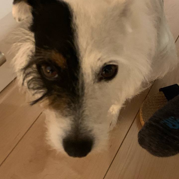 B7430b73 3792 4ba2 8801 23c3f9aeb953 1588759023712