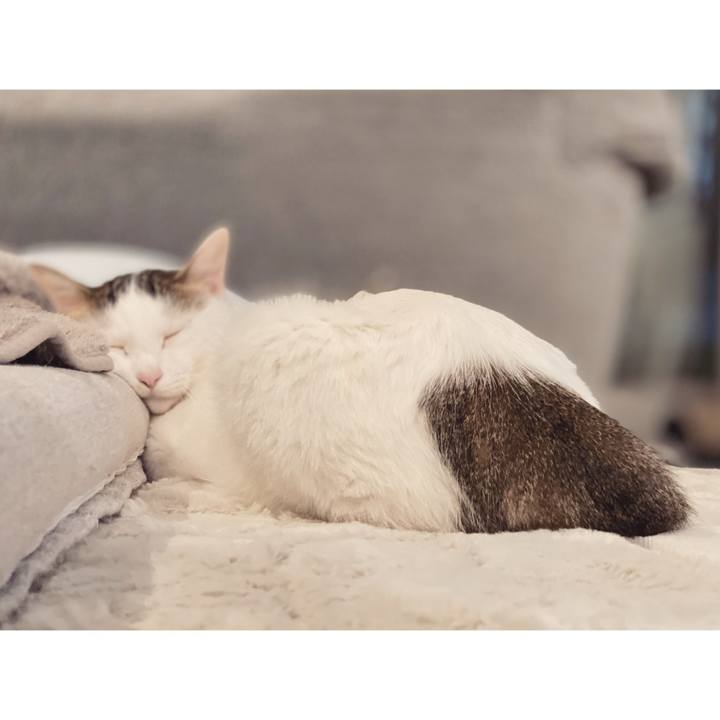 B7434185 c32e 4d28 be74 a6922d08aa78 1636899210522