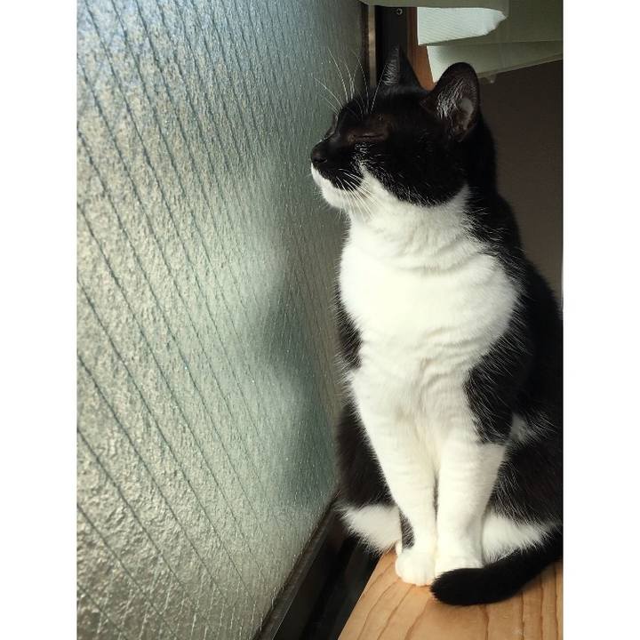 B7437627 8034 46e8 8eb4 2443986be180 1510884312196