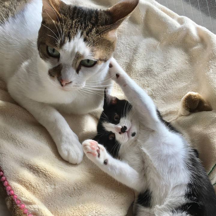 B7437781 a107 47d2 9a49 b1bd8153cb39 1625741816172