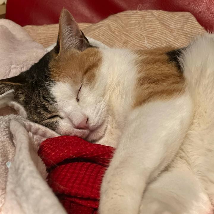 B7438d19 ca57 427c 970b 6698e5c7ff47 1618860139562