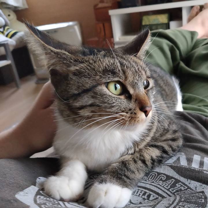 B743e024 ed1c 4250 a3a9 de807e9914ab 1677397135264