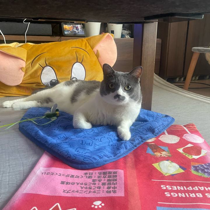 B743ef8f 9518 4675 b6bb 0ebae9a8a0c5 1756508472549