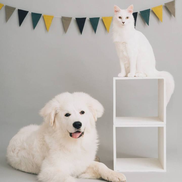 B743fbae 7e12 4d10 8ee1 ff02a58d19d5 1719101691297