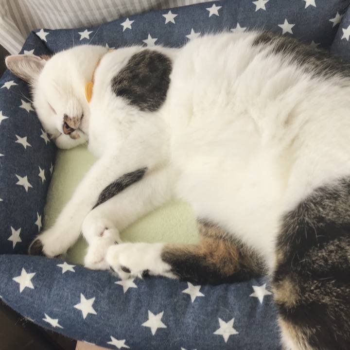 B74406f8 78a3 4c3f 89ac d4fc05397e53 1535000648146