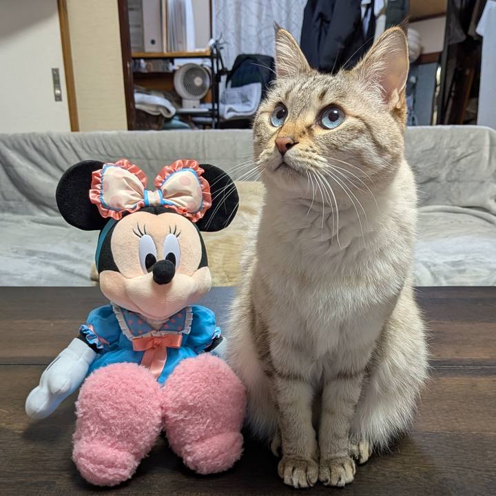 B74409c1 e37d 4f47 8e5a 2a958cfc4063 1769777955815