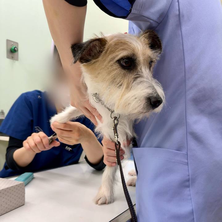 B7441161 c2f9 45ab ad88 2b527d3ecee5 1732540150400