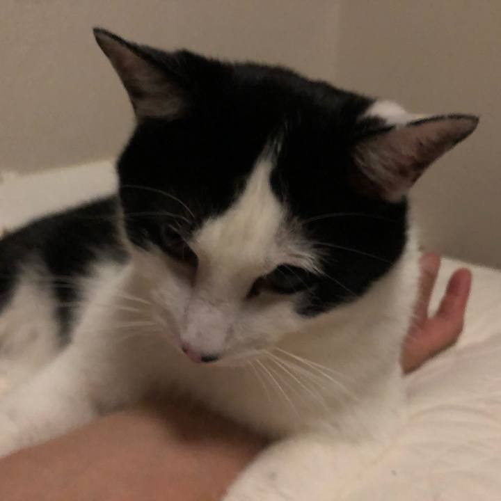 B744152d faed 4157 9929 ddc10ed0da5d 1559662095062