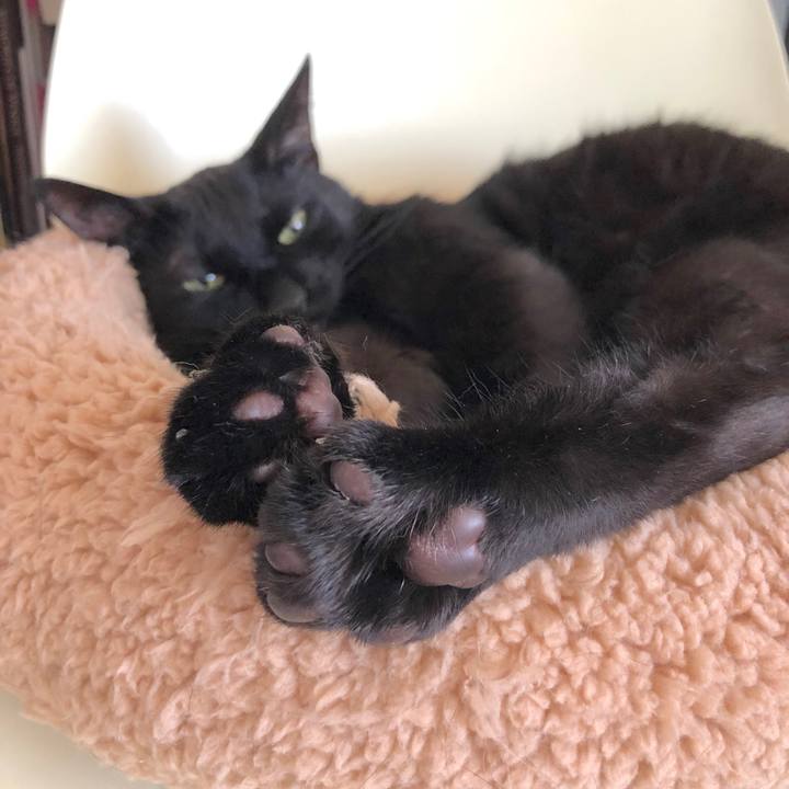 B7441d11 0c6b 4b99 bd9a 3b23c5abe052 1535549324110