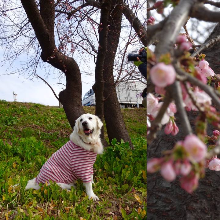 B7443d22 9a6f 474d b085 e2f3f5dadf01 1519649069576