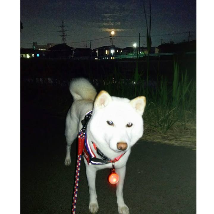 B744777b 3f78 4ad9 b088 67bccccd7e6e 1596453720155