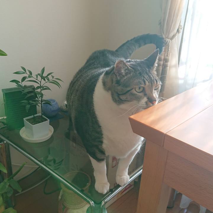 B74477a6 5542 49c8 9586 fa6a6300c560 1583965136478