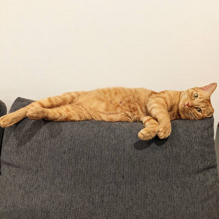 B74481f6 49af 49a1 8967 4bd42e198c9f 1655160994291