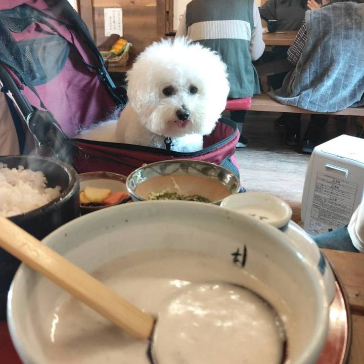 B7449d1e a671 428a a43b 9e8d305e96bd 1762597767597