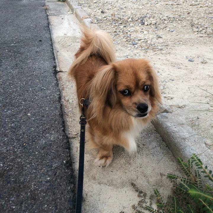 B7449ffc a0dd 457f 8757 30d986979000 1535665339081