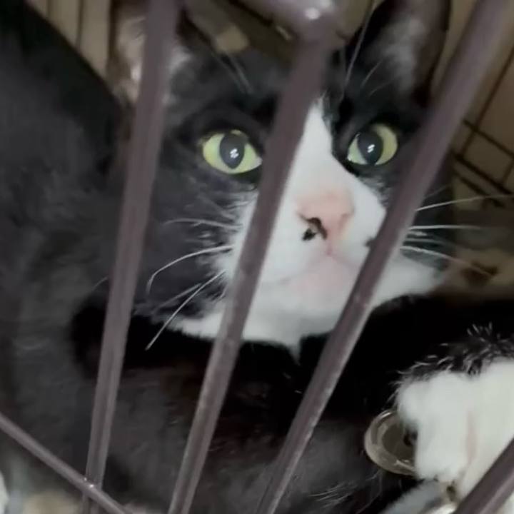 B744c076 b4f7 4c40 b847 49c76ac89b8a 1746756044379