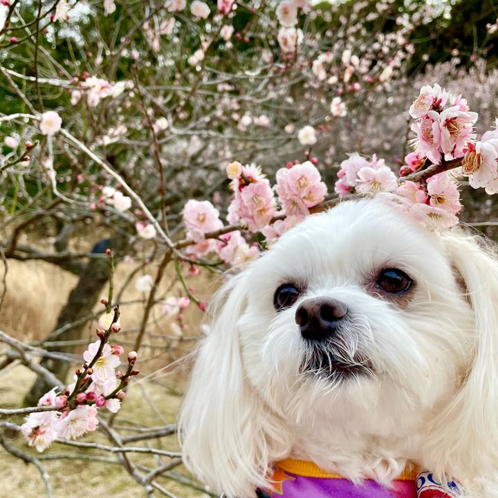 B744c338 33b2 4c4f 97dc 65b1d8d1cf67 1615086726437