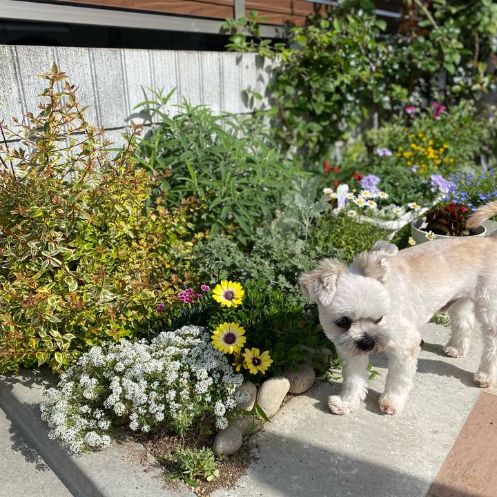 B744d2d1 94d0 4eea 83b9 3e05bc8ea020 1685229332748