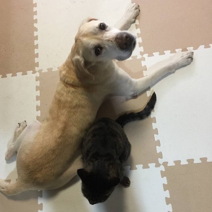 B744e155 d69f 4180 a912 dd166c25c98c 1584239430565