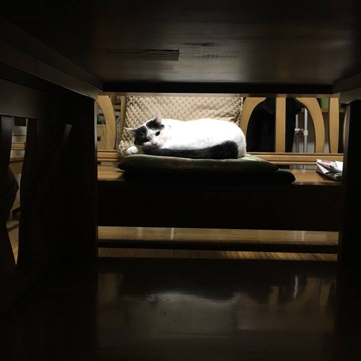 B74523b3 a76b 4fa3 bb9a dfb19c695f77 1511017062332