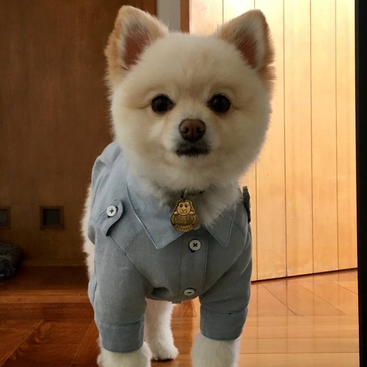 B74549ea 8b0a 430b 9519 4593c184b3a3 1588809318453