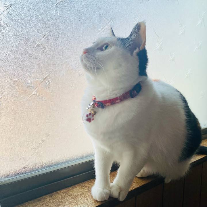 B7456eb6 4891 46e5 b165 c8716e9d6808 1716156642262