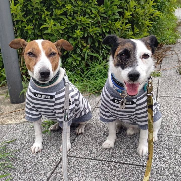 B74579a0 4eee 4456 b657 1f604afb018c 1688774406435