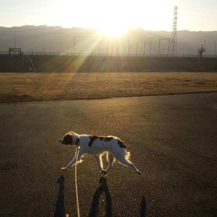 B7458769 2343 4fb8 889d 15bdbc432815 1517876703295