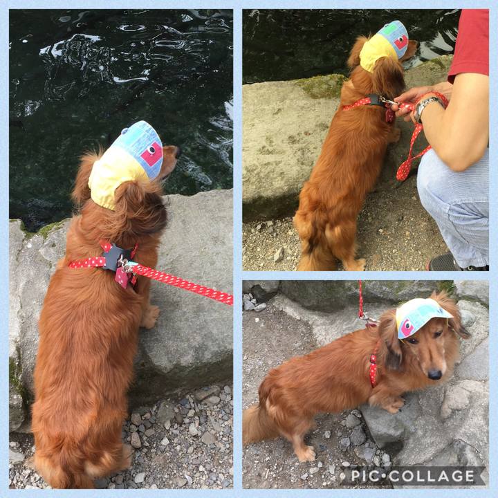 B74590bd eec0 4e78 964b 83f9c66235b7 1565878349237