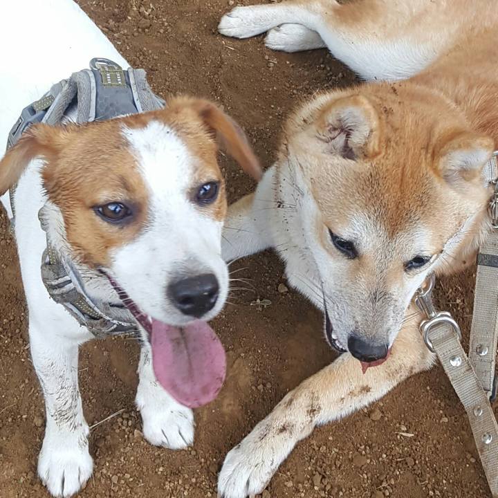 B745cbb8 664d 49eb 9849 ec10e9f32257 1565840741913