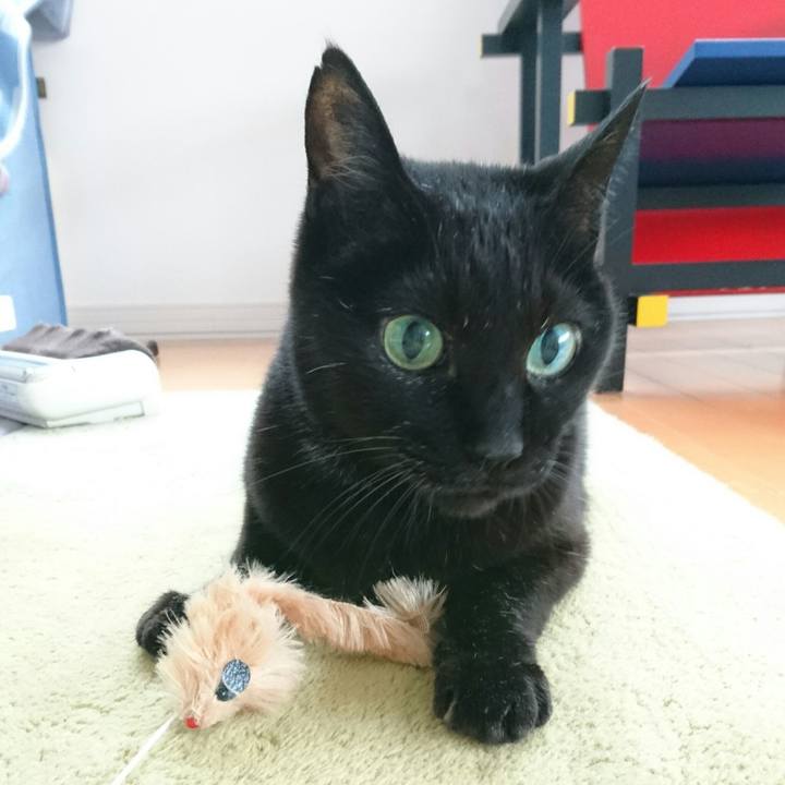 B745f3ae c8d3 4316 b31b ce9656a4b640 1515031075508