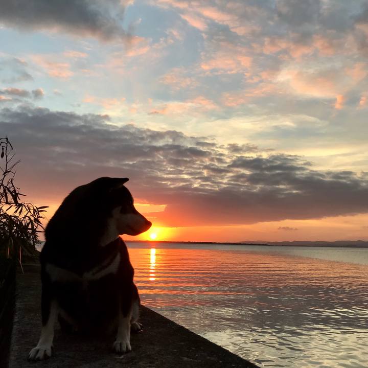 B74616e8 f1a9 4ca2 85a0 cfa855669871 1514970340598