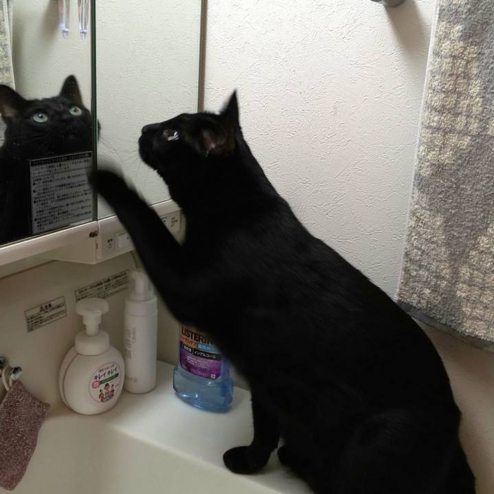 B7461fab 8944 4ed3 af4b d3fe40f6f4d4 1675565754001