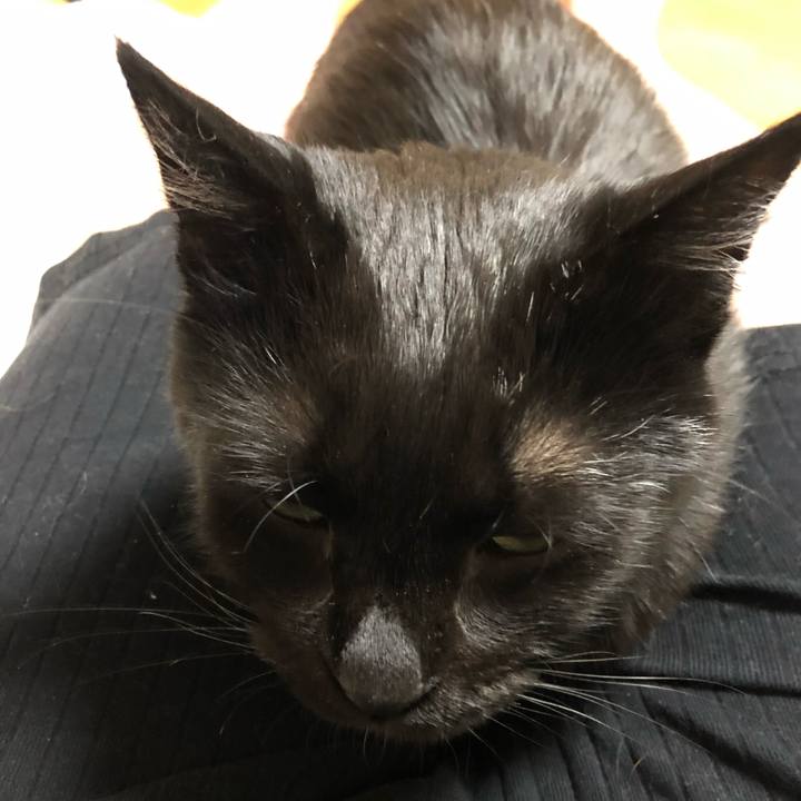 B7462735 c8a0 4c1a af9d 079abb6b3cd6 1587735153059