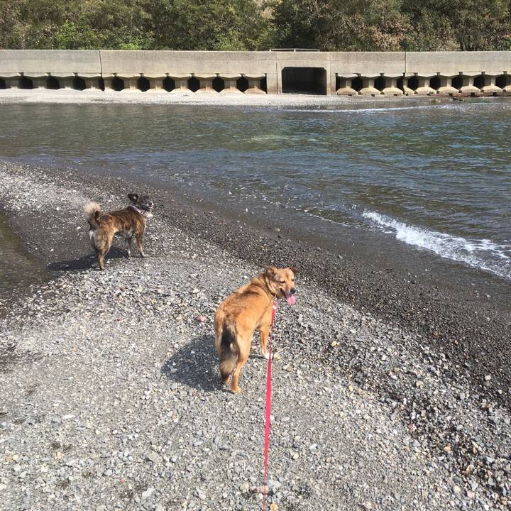 B7462dd6 68f4 431a ac50 6f4f05340048 1553852855075