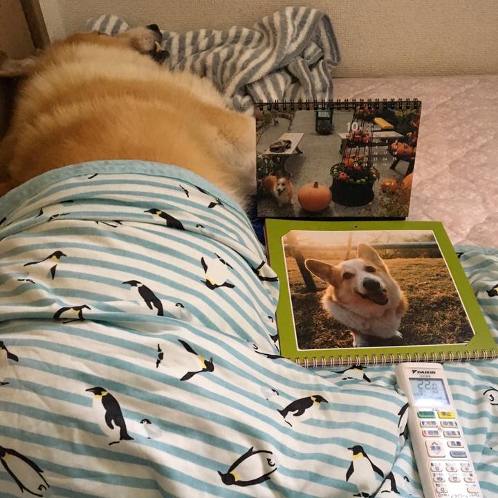 B746a657 c7a9 4301 b570 69a5e8475c1b 1569904039288